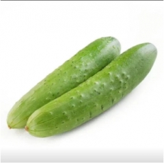 旱黄瓜